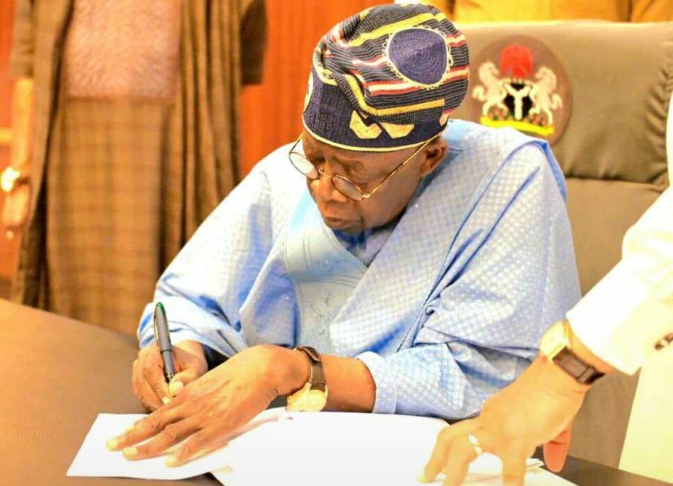 Tinubu’s Economic Reforms: Are Nigerians Feeling the Impact Yet?